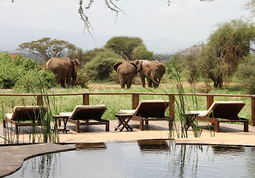 Kenya Private Lodge Safari